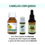 Imagem de Kit Tratamento Cabelos com Queda Óleo Abacate - Jojoba e Alecrim