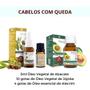 Imagem de Kit Tratamento Cabelos com Queda Óleo Abacate - Jojoba e Alecrim