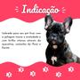 Imagem de Kit Tratamento Cães Dermatite Canina Tratamento Pet Family