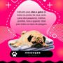 Imagem de Kit Tratamento De Pele Para Cão e Gato Anti Fungo Pet Family