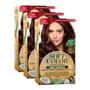 Imagem de KIT TRIO Soft Color Coloração Castanho Claro 50