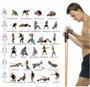 Imagem de Kit Tubing Elástico 11 Itens Treinamento Funcional Pilates..