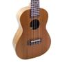 Imagem de Kit Ukulele Concerto 23 Elétrico Satin Natural Cordas Aquila