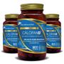 Imagem de Kit Vegan Calcifan-D (Cálcio + Vitamina D2 + K2 + Mangésio) 3x 60 VCaps Cada - Flora Nativa