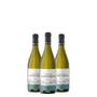 Imagem de Kit Vinho Branco Trapiche Vineyards Chardonnay 750ml 03 Unidades