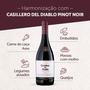 Imagem de Kit Vinho Casillero Del Diablo Pinot Noir 750ml 2 unidades