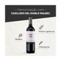 Imagem de Kit Vinho Casillero del Diablo Reserva Malbec 750ml 2 unidades