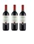 Imagem de Kit Vinho Chilano Tinto Seco Cabernet Sauvignon 750ml 3uni