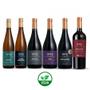 Imagem de Kit Vinho Miolo Single Vineyard Terroir Explorer 6 Grf 750Ml