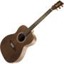 Imagem de Kit Violão Eletroacústico Rx215 Rozini C/ Equalizador + Capa