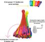 Imagem de Kit Water Balloons Balão de Água Mágico Com 111 Unidades Colorido