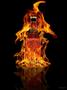 Imagem de KIt Whiskey Jack Daniel's Fire Tennessee 1000ml 2 unidades