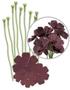 Imagem de kita para Fazer Flores Marrom - Brown Crepe Paper flower kit We R