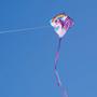 Imagem de Kite In The Breeze Pegasus - Tecido Ripstop 76cm com Cauda de 3,7m