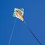 Imagem de Kite Ripstop Tiger 76cm com Cauda de 3,7m - In the Breeze