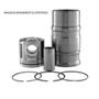 Imagem de Kits motor mwm x10 aspirado ks **agrale 4500 d mwm 4.10 /**a