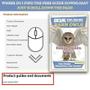 Imagem de Kits Owl Brand Discovery Kits Barn Owl Pellet, pacote com 10 unidades