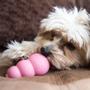 Imagem de Kong Puppy - Small
