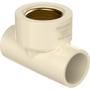 Imagem de Krona Cpvc- Tee Transf 22X3/4