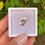 Imagem de Kunzita Cushion 11,79ct
