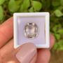 Imagem de Kunzita Oval 9,07ct