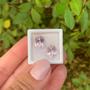 Imagem de Kunzita Oval Par 9,38ct