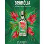 Imagem de L'Occitane Au Br Deo Colonia Bromelia 100Ml