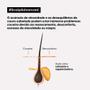 Imagem de L'Oréal Professionnel Scalp Tratamento Calmante