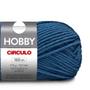 Imagem de Lã Hobby 100g 625 tex Circulo 560 Azul Celeste