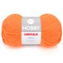 Imagem de Lã Hobby Círculo 100g 160 metros
