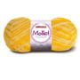 Imagem de Lã Mollet Círculo Cor Mesclada 100G -9368