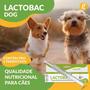 Imagem de Lactobac Dog Organnact 16g/13ml Display 13 Seringas