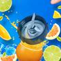 Imagem de Lâmina de 4 Pontos para Blender - Compatível com Oster e Osterizer