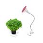 Imagem de Lâmpada 5W LED Grow Com Luminária 1 Bocal E27 - Não Deixe Suas Plantas Sem Luz Solar