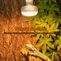Imagem de Lâmpada de Aquecimento REPTI ZOO 100W - Intense Basking Spot (Pacote com 2)