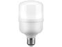 Imagem de Lâmpada de LED Elgin Branca E27 20W - 6500K Super Bulbo T100