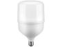Imagem de Lâmpada de LED Elgin Branca E27 50W - 6500K Super Bulbo T160