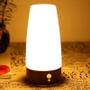 Imagem de Lâmpada de Mesa LED com Sensor de Movimento PIR - Luz Noturna com Bateria Recarregável