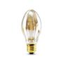 Imagem de Lampada Filamento Carbono Galaxy B53 2400K 40Wx127V  5023