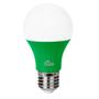 Imagem de Lâmpada led bulbo a60 7w verde bivolt e27 kian