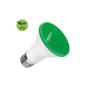 Imagem de Lampada Led Par 20 6W E27 Ip65 Bivolt Verde