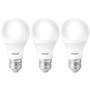 Imagem de Lâmpada LED Pera 7W Bivolt 6500K com 3 Unidades AVANT