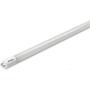 Imagem de Lampada Led Tubular Galaxy T8 10W 3000K Vidro 1650