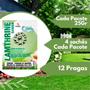 Imagem de Lamthrine Garden Lambda - 25g