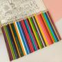 Imagem de Lápis de Cor 36 Cores Sextavado Faber-Castell Ecolápis
