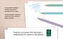 Imagem de Lapis De Cor Faber Castell 10 Cores Pastel
