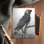 Imagem de Lápis para Desenho Nero Cretacolor Extra Duro 461 05