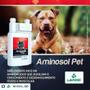 Imagem de Lavizoo aminosol pet suplemento vitaminico aminoacido 1l