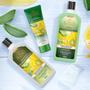 Imagem de Leave In Tio Nacho Aloe Vera 100Ml