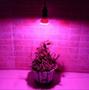 Imagem de Led Grow 60w Bivolt E27 Full Spectrum Fotossíntese Crescimento Plantas Cultivo Estufa